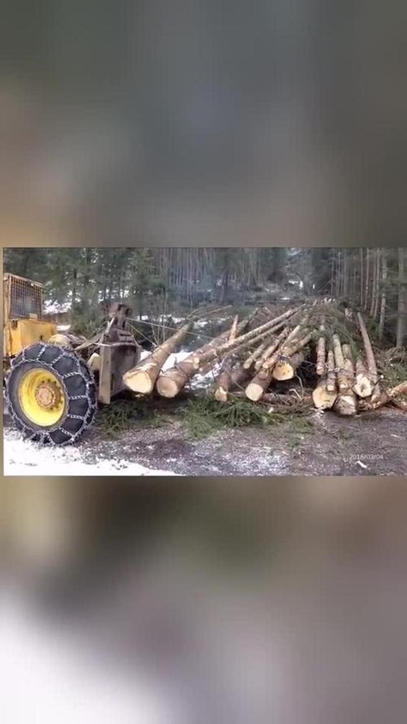 运送木头